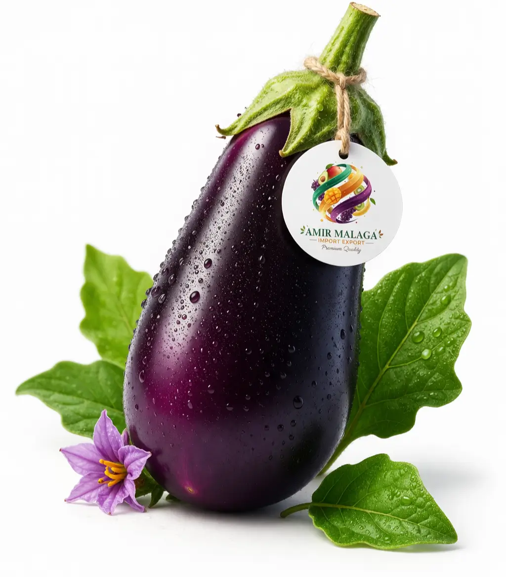 chatgpt image 22 mars 2026, 17 48 53