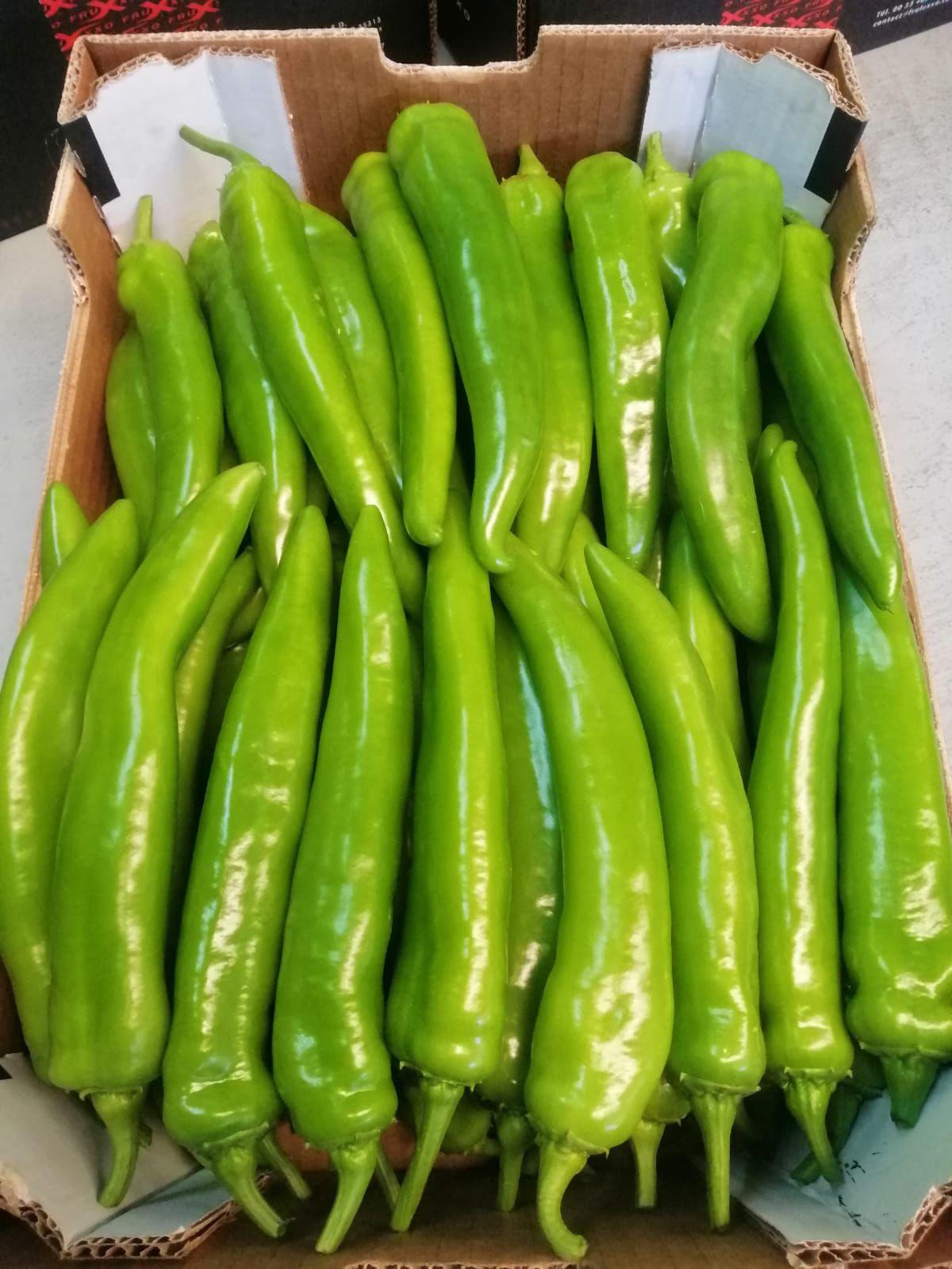 whatsapp image 2026 03 16 at 22.31.32 (2)