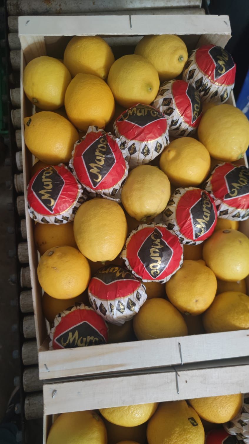 whatsapp image 2026 03 16 at 22.31.36