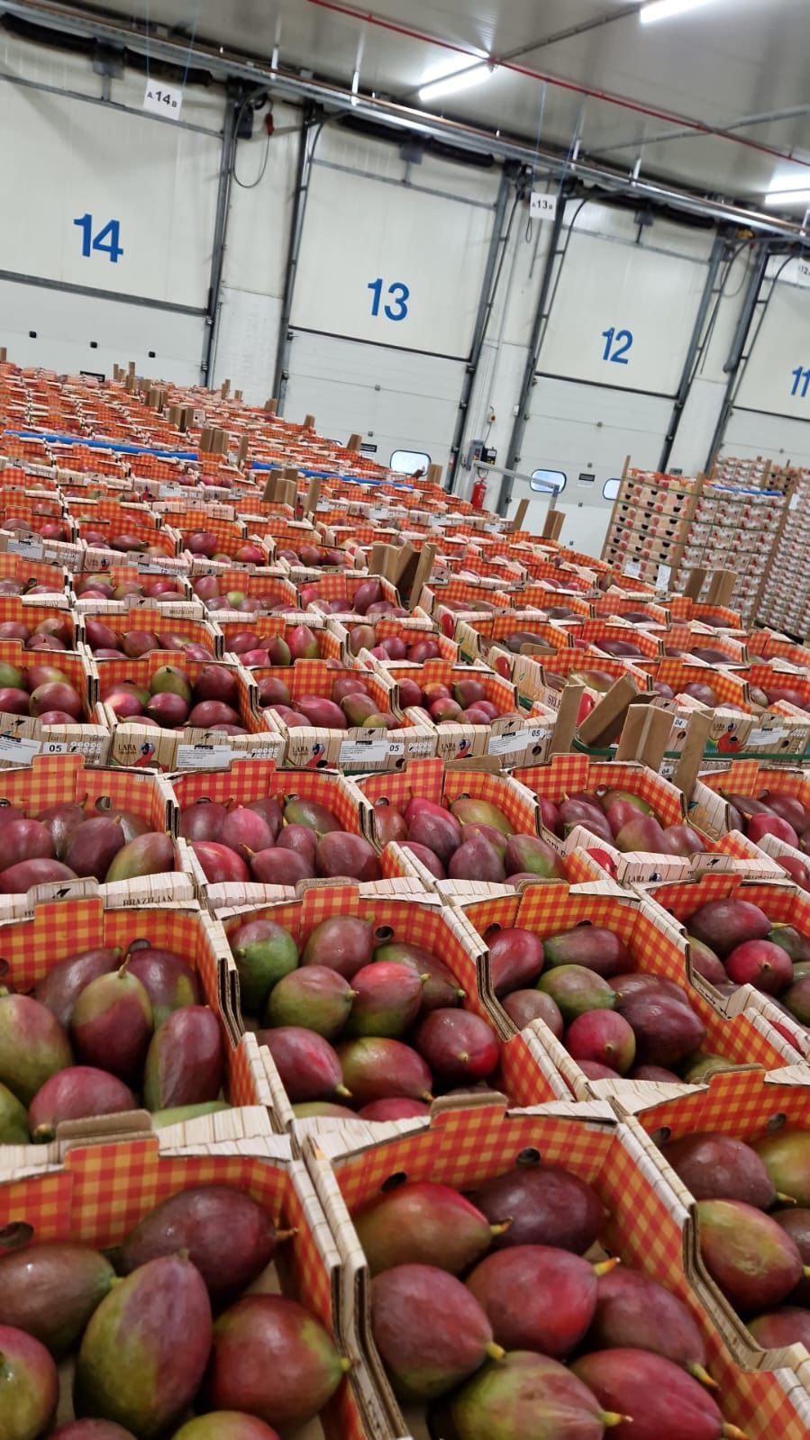 whatsapp image 2026 03 16 at 23.36.21