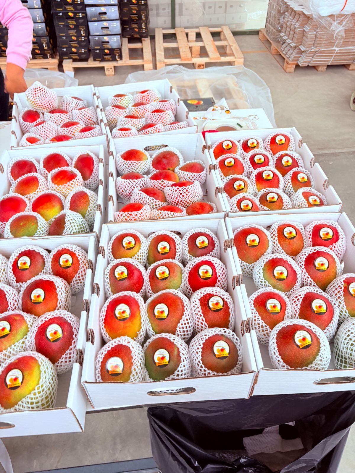 whatsapp image 2026 03 16 at 23.36.29 (1)