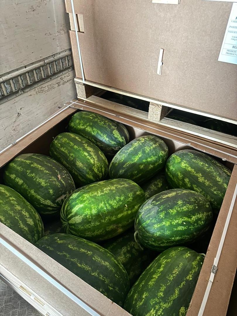 whatsapp image 2026 03 16 at 23.36.38